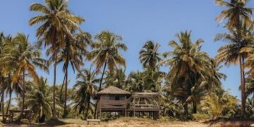 O que fazer em Barra Grande na Bahia em dias de puro descanso