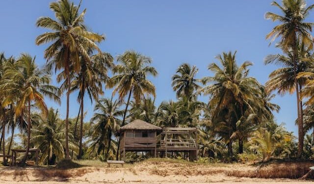 O que fazer em Barra Grande na Bahia em dias de puro descanso