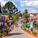 Melhor época para visitar Monte Verde e aproveitar melhor o frio