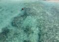 Praias do Brasil com água cristalina para entrar no radar já