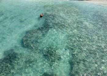 Praias do Brasil com água cristalina para entrar no radar já