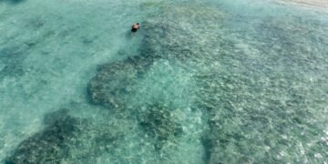 Praias do Brasil com água cristalina para entrar no radar já