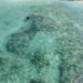 Praias do Brasil com água cristalina para entrar no radar já