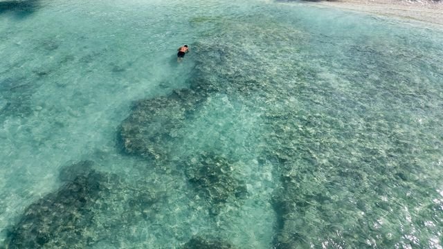 Praias do Brasil com água cristalina para entrar no radar já